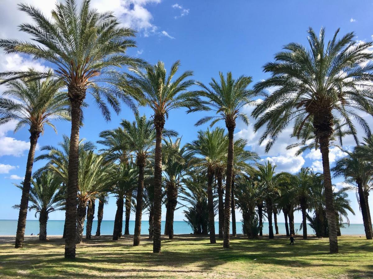 Lejlighed på 25 m² i Torremolinos Centrum med 1 værelse og 1 private badeværelser Eksteriør billede
